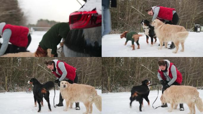 让狗拴起来冬天玩耍雪人冰天雪地