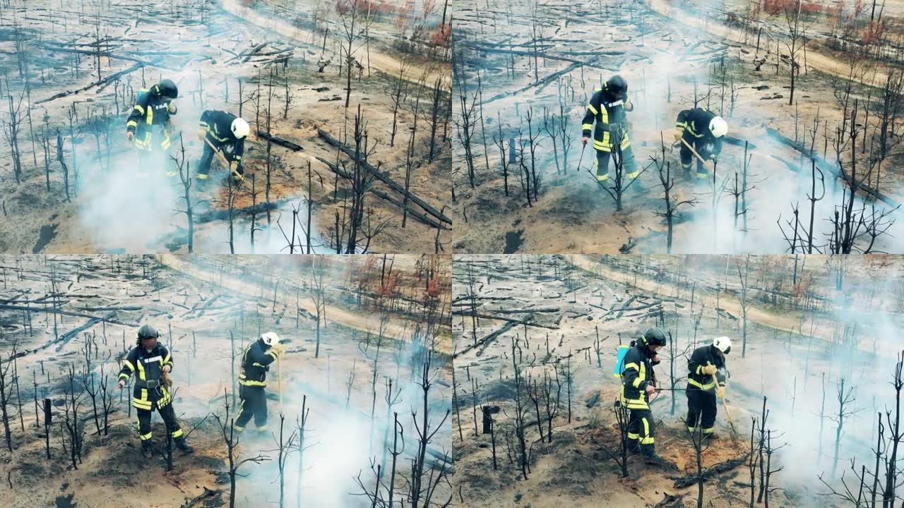 两名消防员正在处理森林大火的遗骸。消防员，消防员，森林火灾概念。
