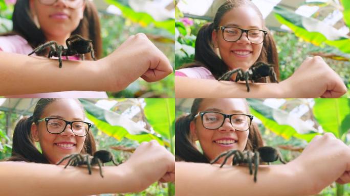 动物，自然和女孩与蜘蛛在学校动物园旅行中进行教育，学习和娱乐。幸福，野生动物和狼蛛对孩子的特写镜头，