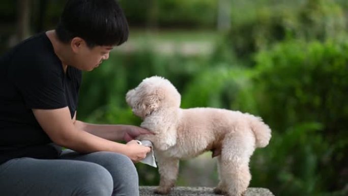 亚洲中国中年短发女性在公园清洁她的宠物狗玩具狮子狗早上在一起