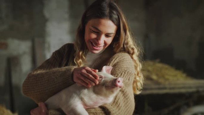 年轻女农场主的电影镜头是用爱和关怀爱抚生态生长的新生粉色仔猪，用于农村养猪场猪圈的生物正品产品行业。