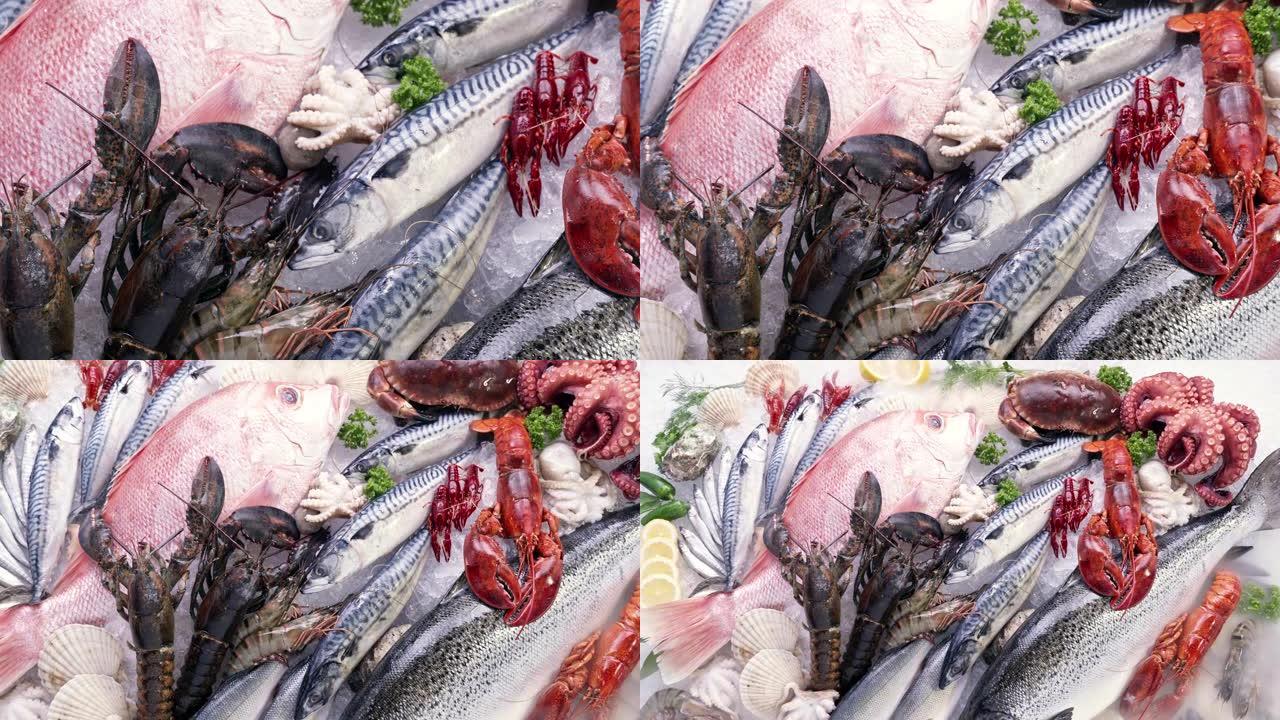 4K UHD缩小俯视图: 各种豪华新鲜海鲜，龙虾鲑鱼鲭鱼小龙虾对虾章鱼贻贝和扇贝，在冰背景上。冰上新