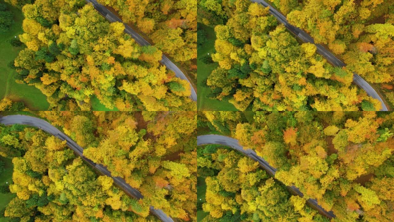 空中，自上而下: 生动的秋天森林中间的草地和柏油路