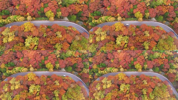 在阳光明媚的秋天森林中的乡村道路的鸟瞰图
