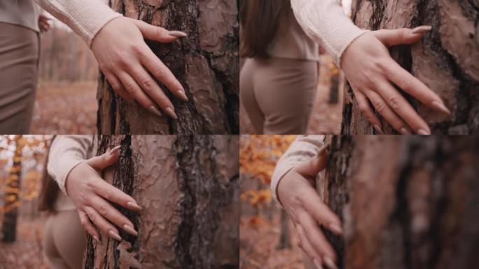 公园里年轻女子触摸树干的特写