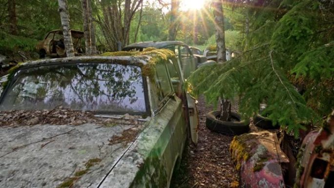 旧车垃圾场。在绿草丛中拍摄生锈的汽车。摄像机在日落灯光下穿过旧车垃圾场。万向节射击UHD，4K