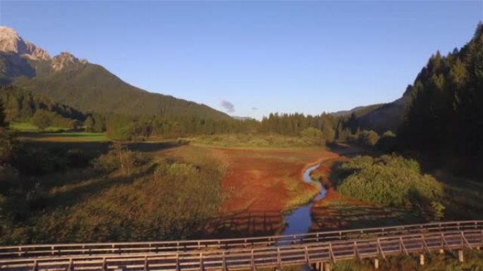 航拍:奇妙的秋季景观湿地与木桥在蜿蜒的河流