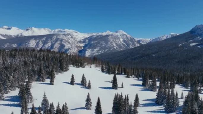 在晴朗的冬日，白雪覆盖的树木森林和美丽的山脉景观上方的鸟瞰图