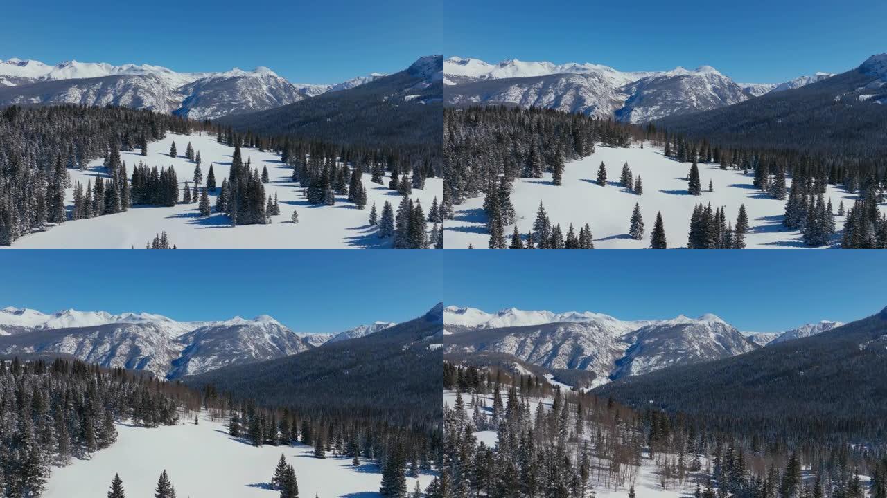 在晴朗的冬日，白雪覆盖的树木森林和美丽的山脉景观上方的鸟瞰图