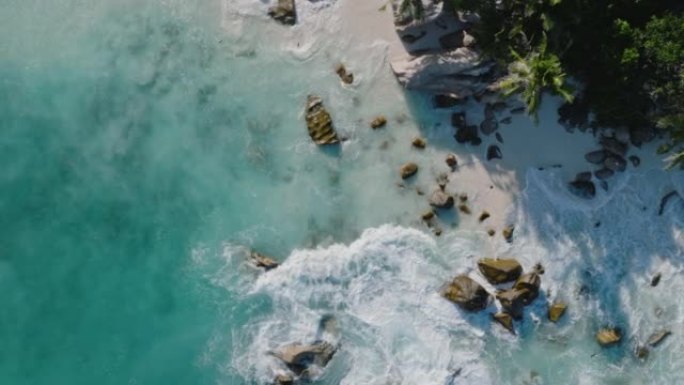 在美丽的热带岛屿海滩上，海鸟飞行和绿松石波浪在岩石上折断的直线圆形鸟瞰图