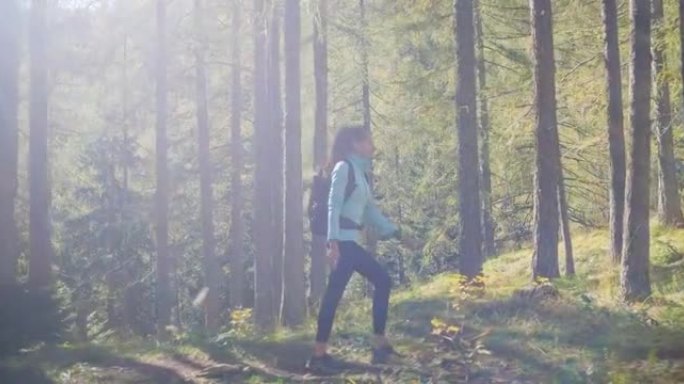 在美好的一天，适合年轻的女徒步旅行者漫步在阳光普照的绿色森林中