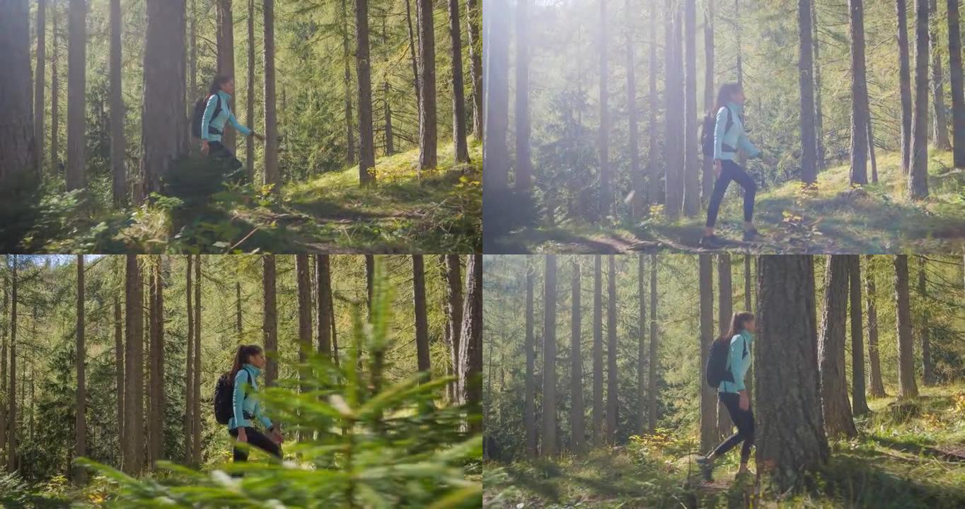 在美好的一天，适合年轻的女徒步旅行者漫步在阳光普照的绿色森林中