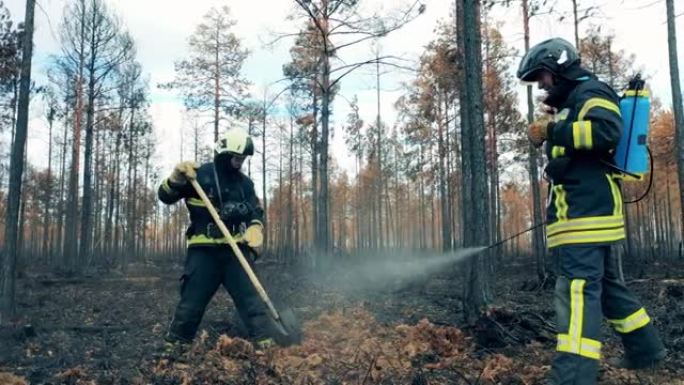 大火过后，消防员将森林地面扑灭。