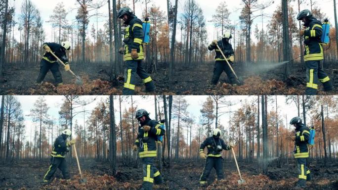 大火过后，消防员将森林地面扑灭。