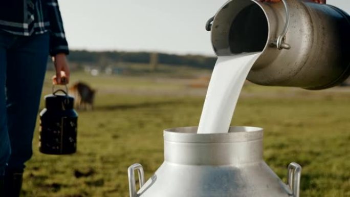 SLO MO从当地农民那里购买牛奶