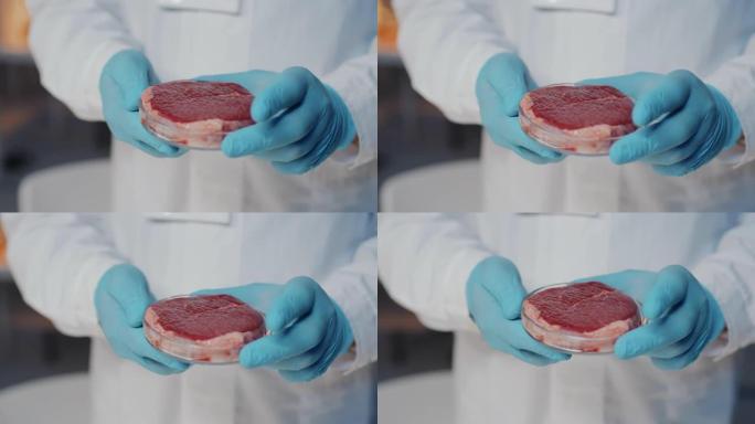 戴着手套的科学家用细胞生长的肉旋转培养皿