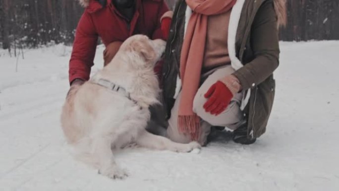 与狗的快乐夫妇冬天下雪大狗宠物黑人夫妇