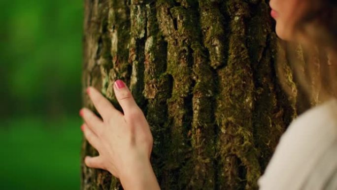 SLO MO美丽的年轻女子在阳光明媚的森林中拥抱一棵树
