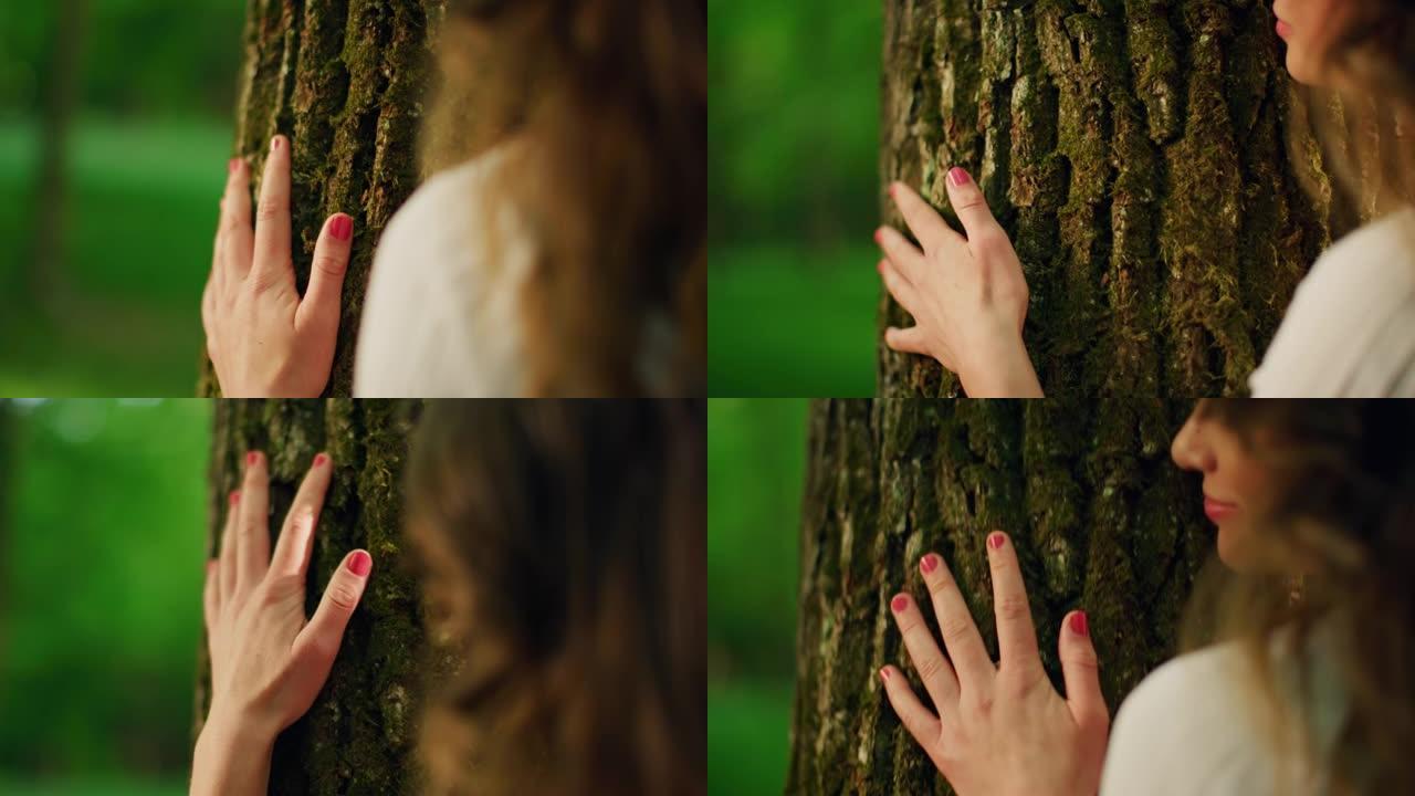 SLO MO美丽的年轻女子在阳光明媚的森林中拥抱一棵树