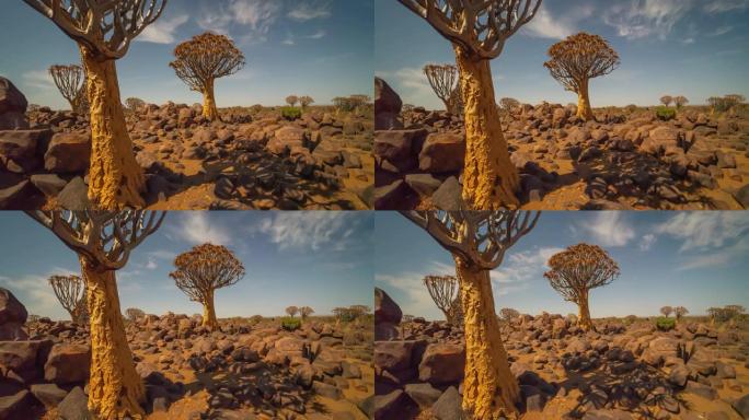 MS Time lapse在非洲纳米比亚阳光明媚的岩石沙漠中颤抖着树木和岩石