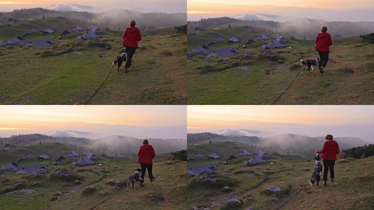 年轻女子在山上与狗一起散步的后视图