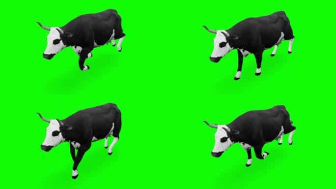 绿屏上的牛。动物的概念，野生动物，游戏，返校，3d动画，短视频，电影，卡通，有机，色键，人物动画，设