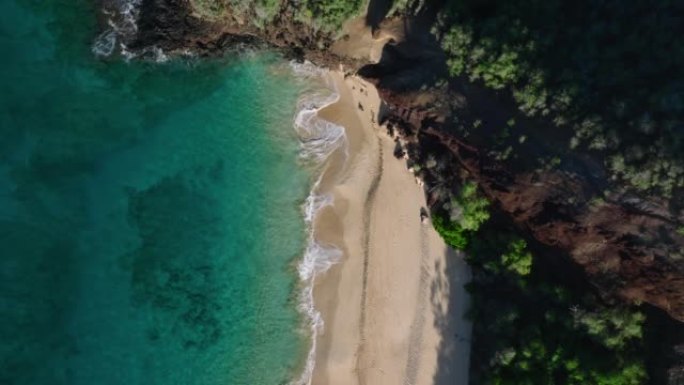 自上而下的鸟瞰图海浪撞击热带海滩背景