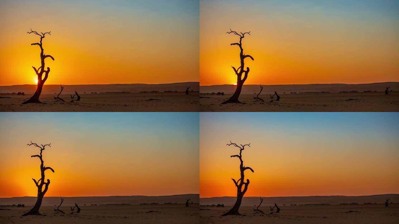 WS时间流逝日落在宁静的Deadvlei沙漠景观，纳米比亚，非洲