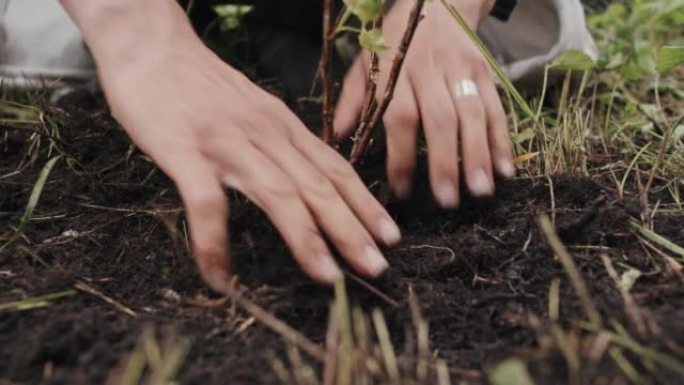 夯实土壤栽培栽种种植