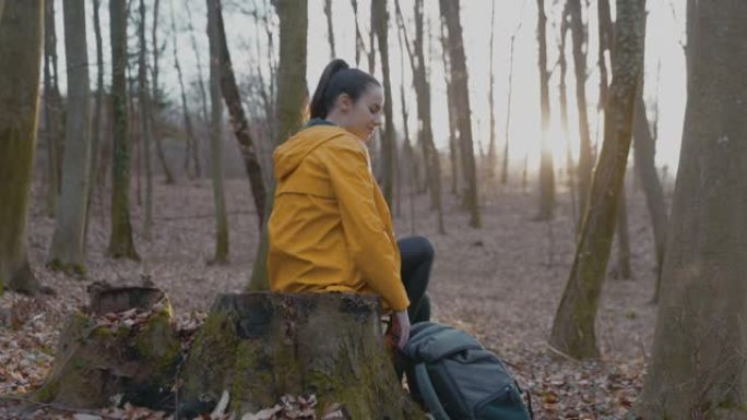 女人坐在树桩上并在森林中使用手机