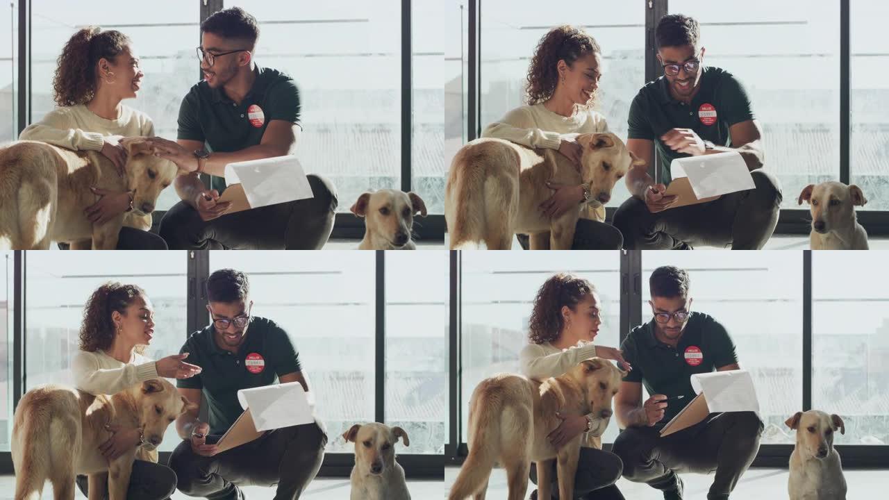 4k视频片段，一个英俊的年轻人在动物收容所中完成了客户的宠物收养文书工作