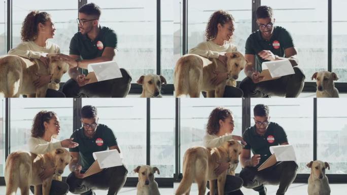 4k视频片段，一个英俊的年轻人在动物收容所中完成了客户的宠物收养文书工作