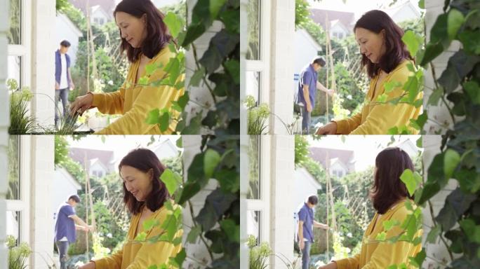 成熟的亚洲妇女在夏季花园种植木制容器前景，而她的丈夫在慢动作的背后将花绑在花园手杖上