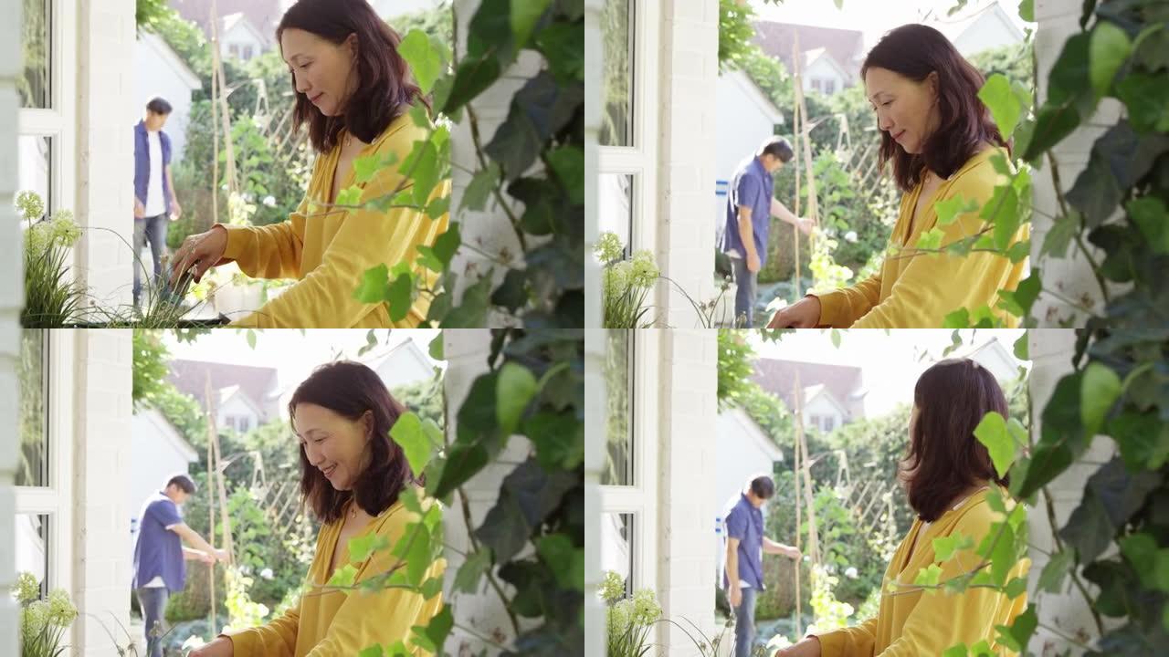 成熟的亚洲妇女在夏季花园种植木制容器前景，而她的丈夫在慢动作的背后将花绑在花园手杖上