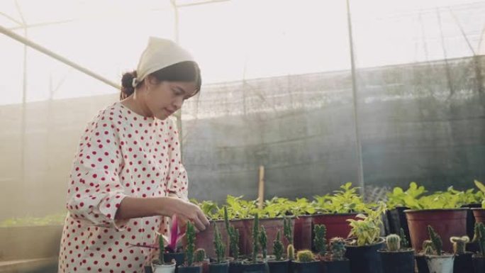 亚洲女人的爱好是蔬菜幼苗。