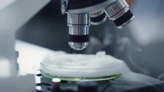 科学家在显微镜下在样品培养皿上混合绿色化学液体的宏观特写镜头。用技术设备在现代实验室工作的微生物学家