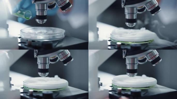科学家在显微镜下在样品培养皿上混合绿色化学液体的宏观特写镜头。用技术设备在现代实验室工作的微生物学家