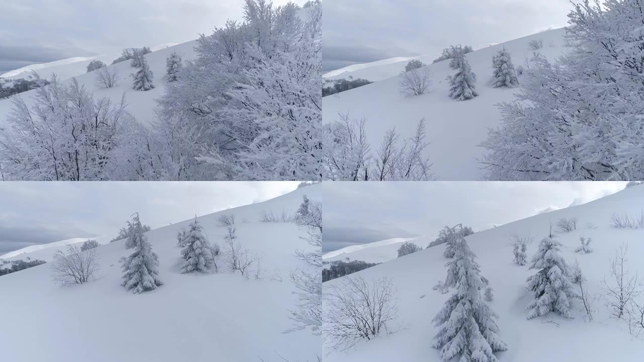 冬季山地景观，树木被雪覆盖。冰冻的白树树枝和山被厚厚的积雪覆盖的鸟瞰图。如火如荼的冬天