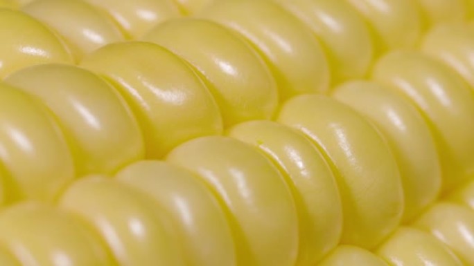 宏观: 美丽的黄色线条成熟的玉米粒在明亮的灯光下闪耀。