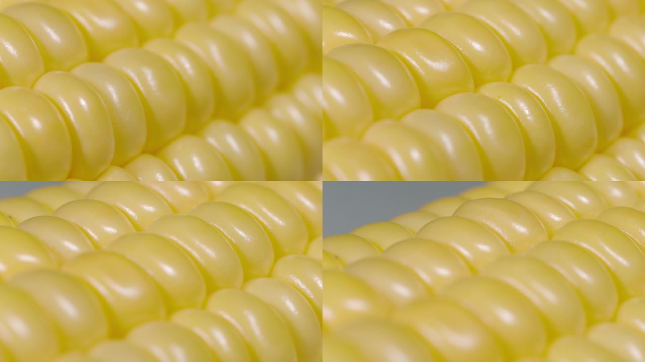 宏观: 美丽的黄色线条成熟的玉米粒在明亮的灯光下闪耀。