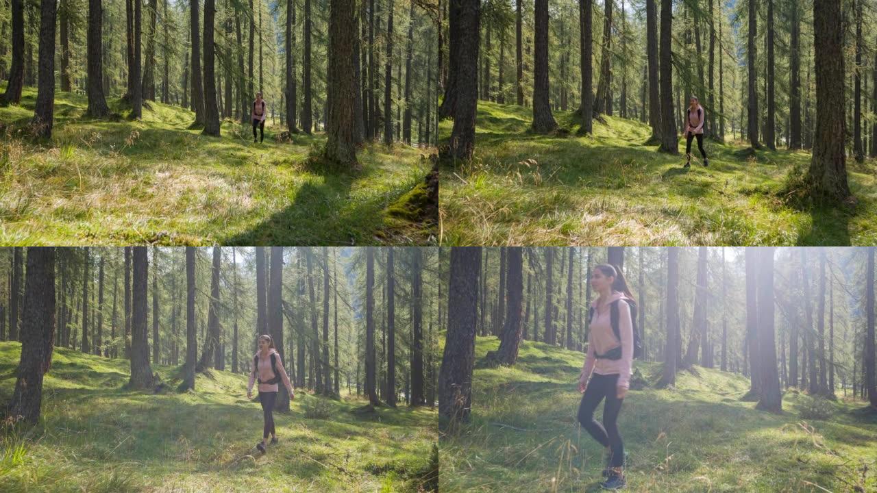 夏天在阳光普照的森林小径上徒步旅行的女性