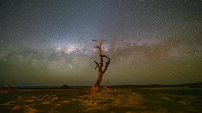 非洲纳米比亚星空下的WS延时树和沙漠