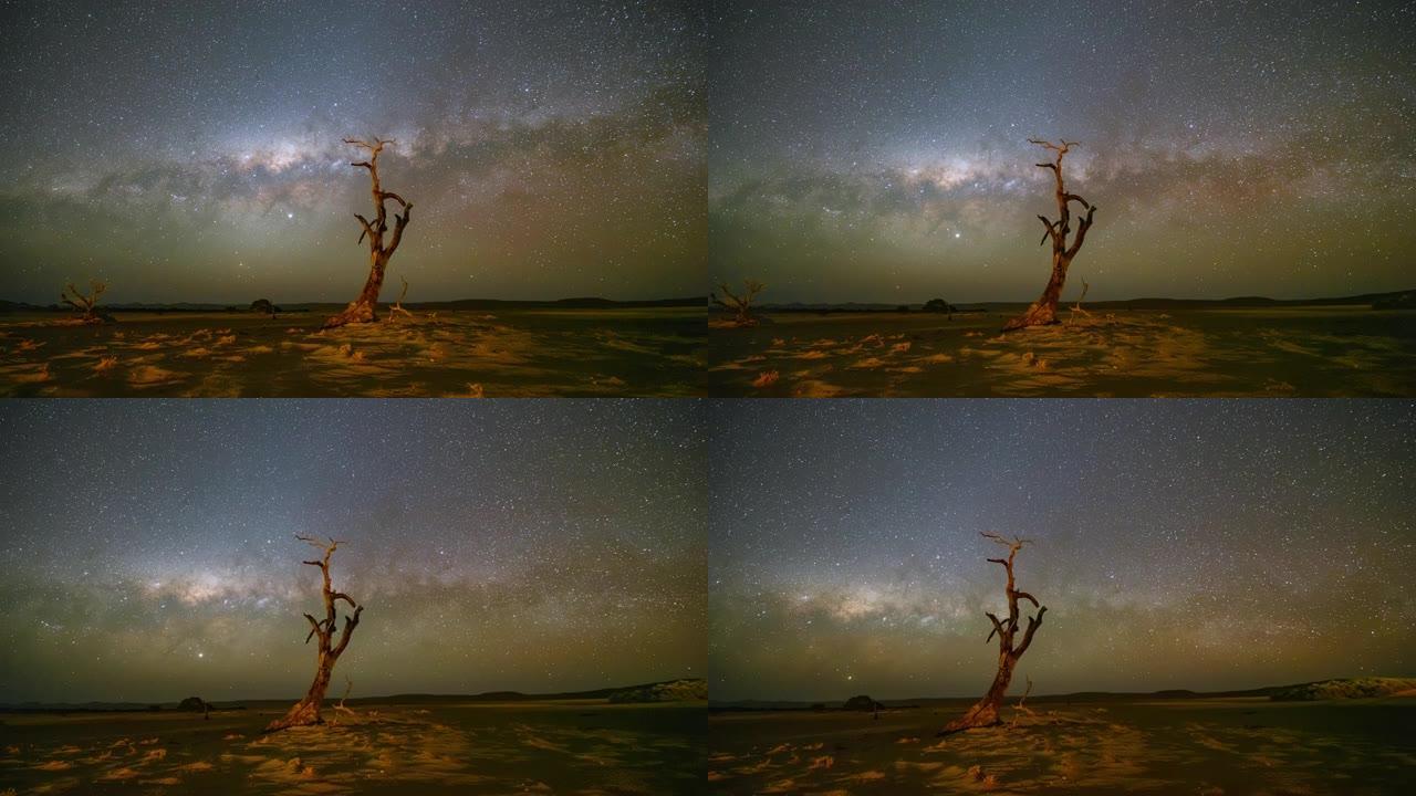 非洲纳米比亚星空下的WS延时树和沙漠
