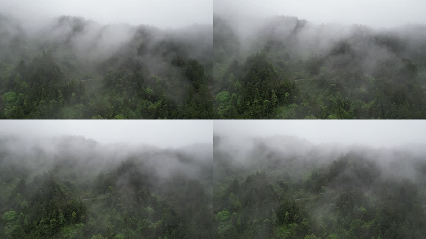 绿水青山  雨后云雾