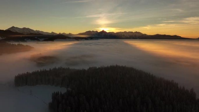 鸟瞰冬季雪景林木风景