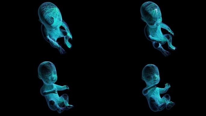 婴儿出生前的模型，在黑暗的空间中翱翔