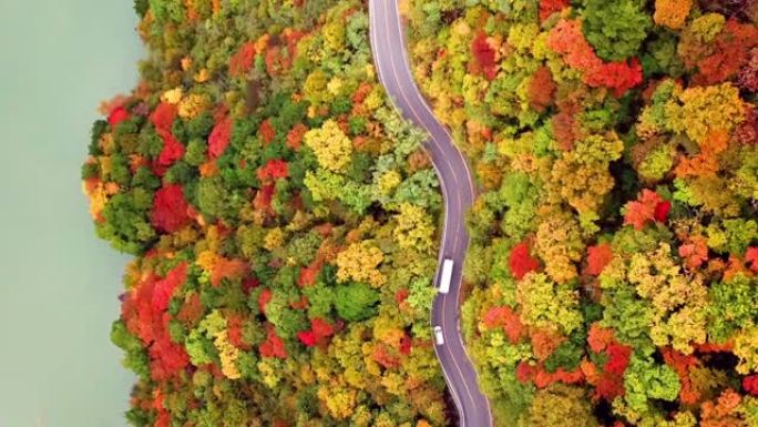 日本河流附近秋季森林变色的道路俯视图