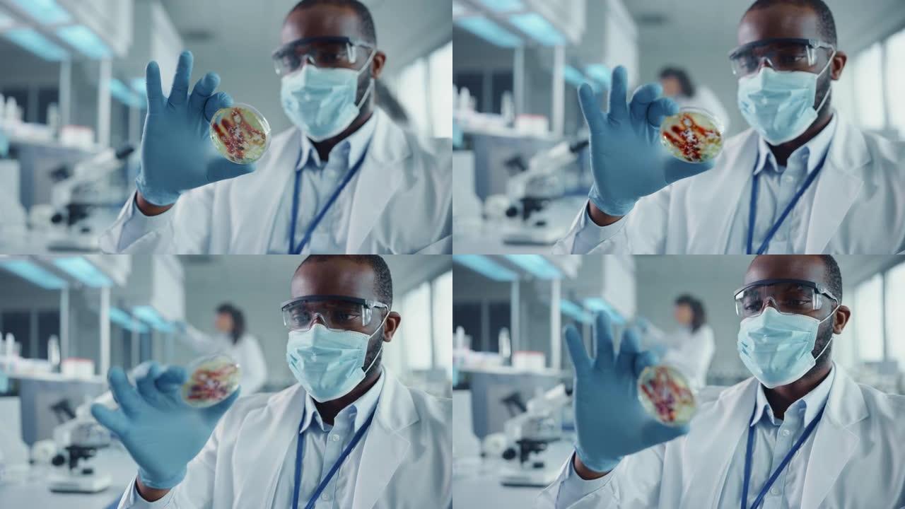 非裔美国男性科学家戴着口罩和眼镜看着带有转基因样品化学物质的培养皿。在具有技术设备的现代实验室中工作