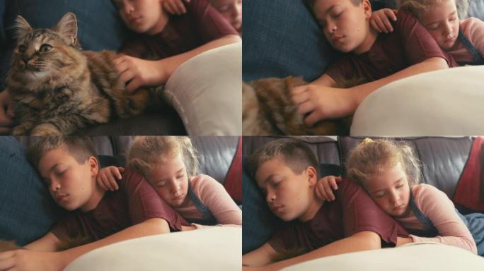 一个可爱的男孩和女孩在家与猫小睡的4k视频片段