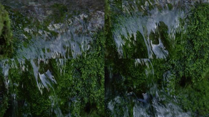 特写，dop: 闪闪发光的清澈河水流过长满苔藓的岩石。